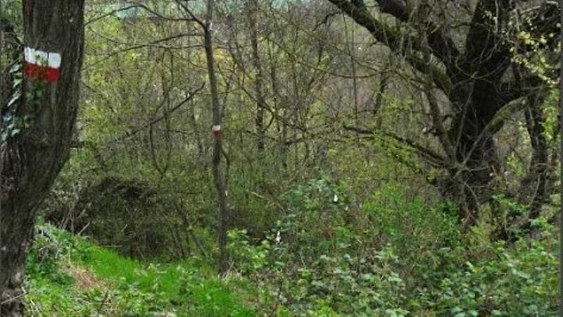 Dieci idee per il weekend fuori porta: pellegrinaggio a Sabbiuno, ritorno al sentiero 063, sulle tracce del drago di Bologna
